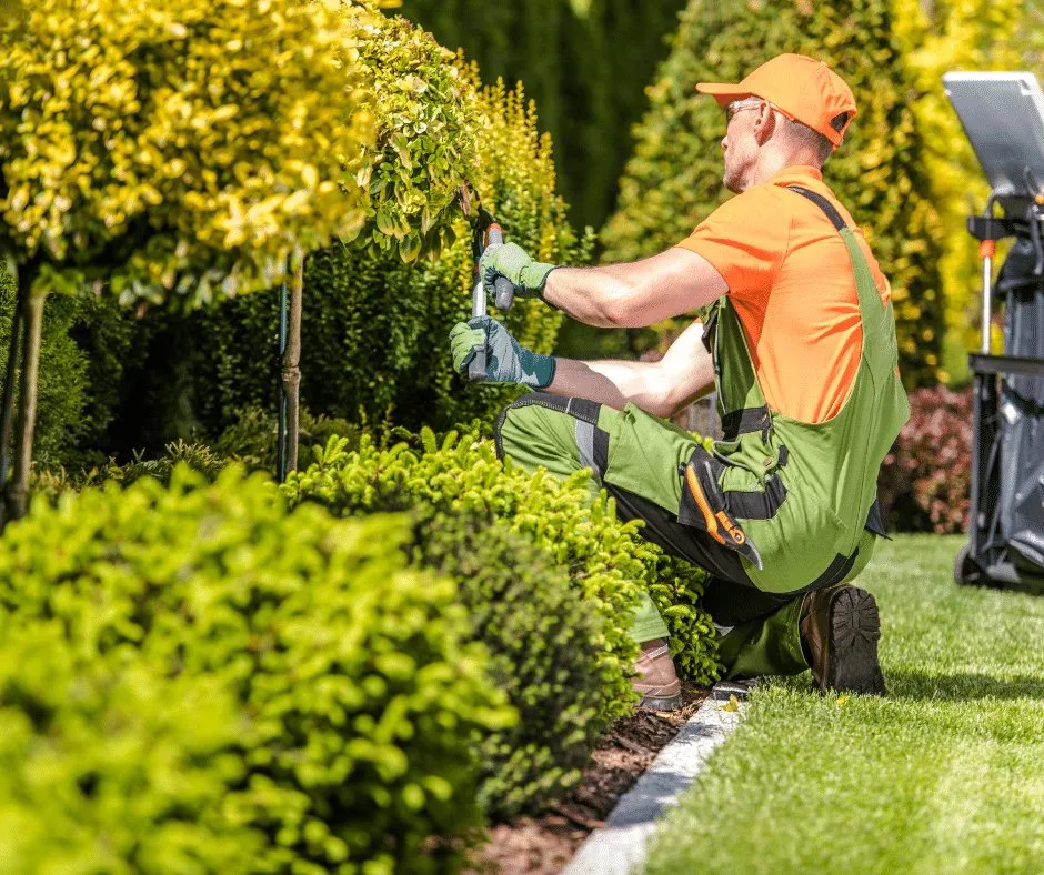 Affordable yard cleanup service in Douglasville, GA by Douglasville Landscape Design