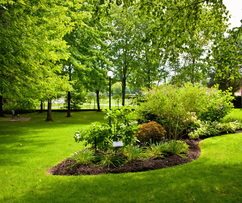 Expert landscape installation in Douglasville, GA - Douglasville Sod Installation
