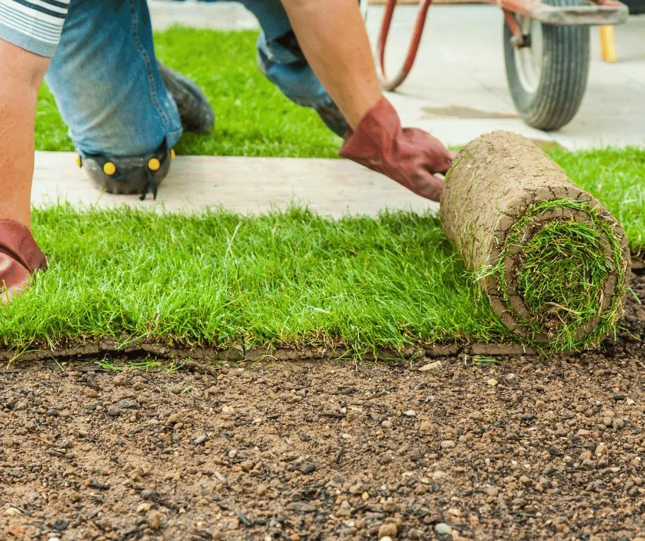 Reliable landscape design in Douglasville, GA by Douglasville Sod Installation