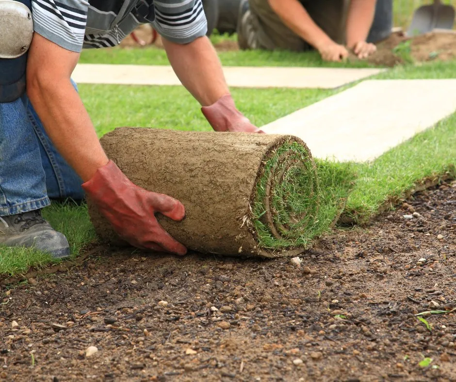 Expert garden landscaping in Douglasville, GA by Douglasville Sod Installation