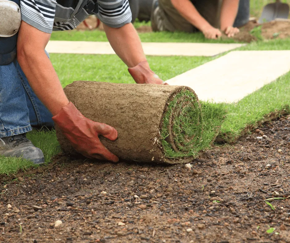 Affordable landscape installation for year-round maintenance across Douglasville, GA - Douglasville Sod Installation