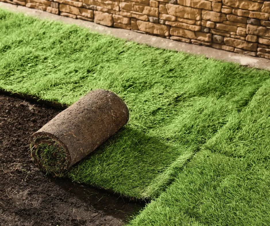 Professional yard cleanup service in Douglasville, GA - Douglasville Sod Installation