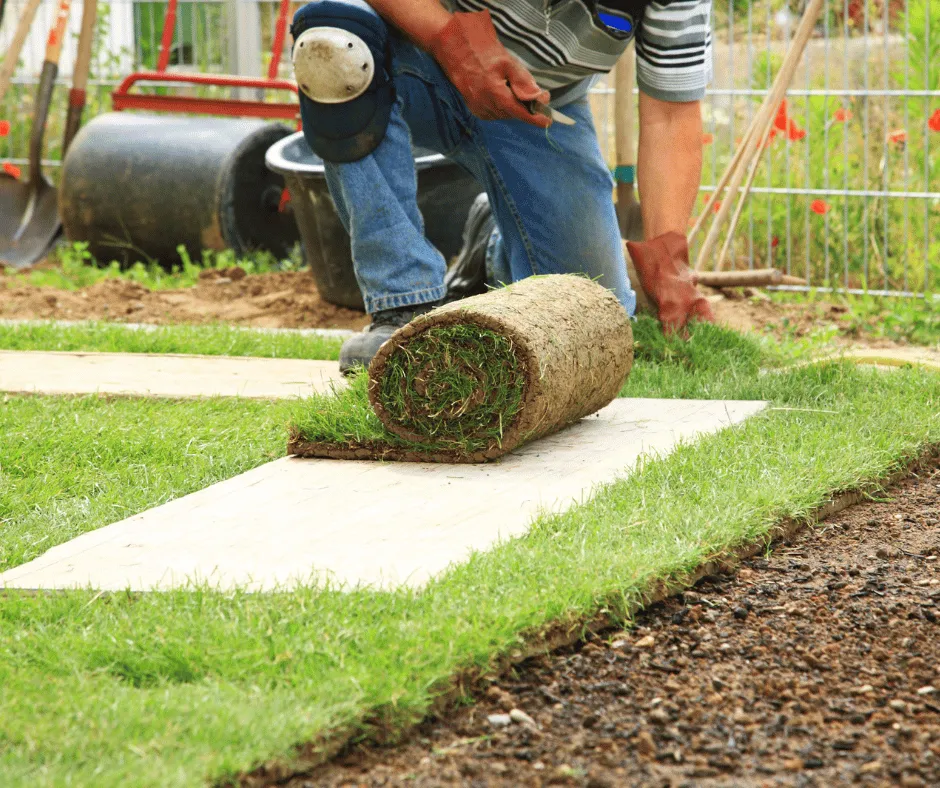 Top-rated residential landscaping for residential properties in Douglasville, GA by Douglasville Sod Installation