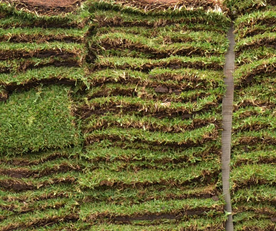 Affordable yard cleanup service in Douglasville, GA by Douglasville Sod Installation