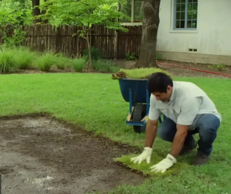 Professional yard cleanup service with custom design in Douglasville, GA by Douglasville Sod Installation