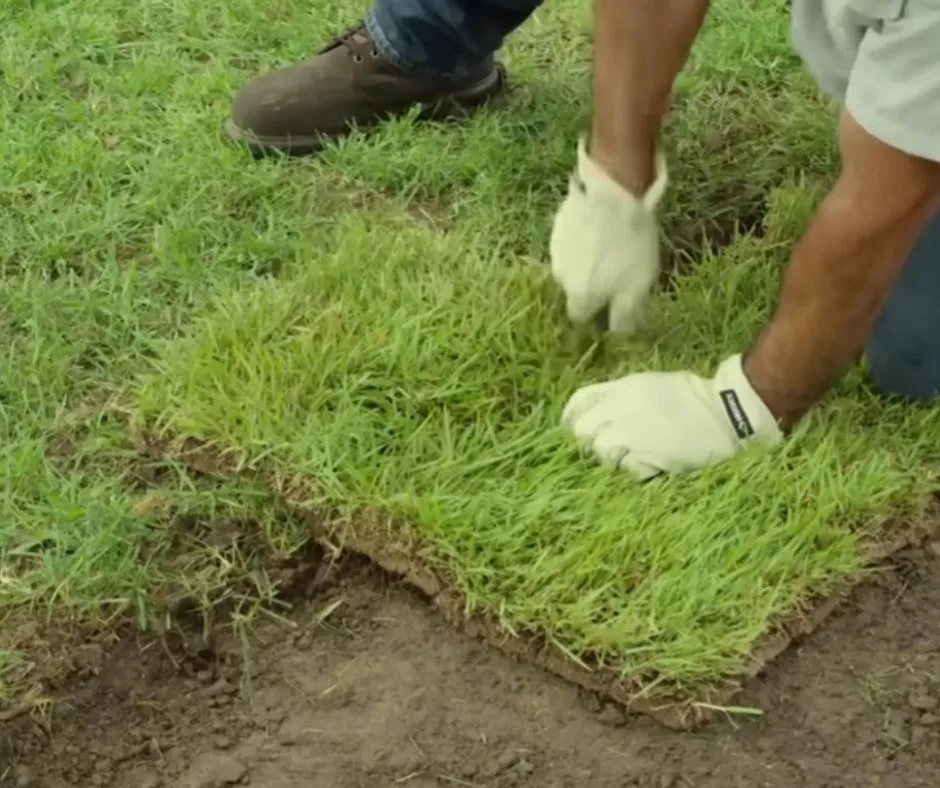 Reliable yard maintenance in Douglasville, GA - Douglasville Sod Installation