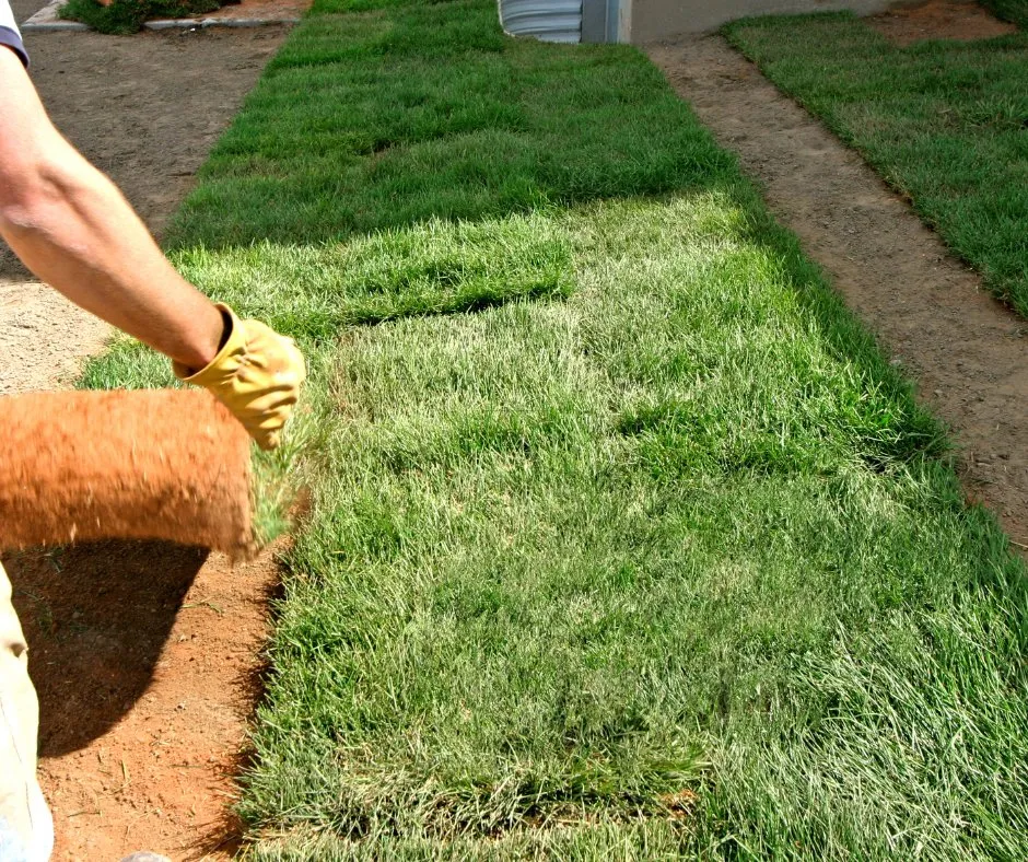 Top-rated outdoor landscaping experts serving Douglasville, GA - Douglasville Sod Installation