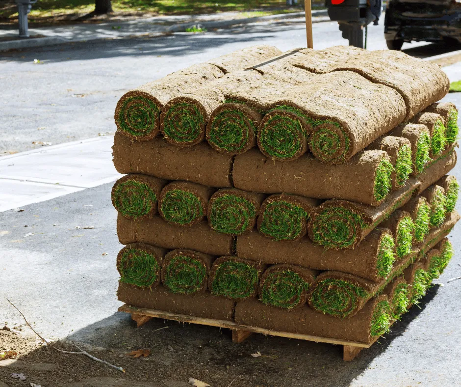 Top-rated landscape design with custom design in Douglasville, GA by Douglasville Sod Installation