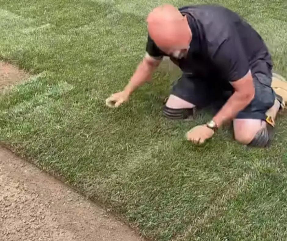 Custom yard maintenance for residential properties across Douglasville, GA - Douglasville Sod Installation