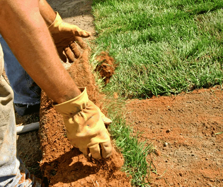Top-rated outdoor landscaping in Douglasville, GA by Douglasville Sod Installation