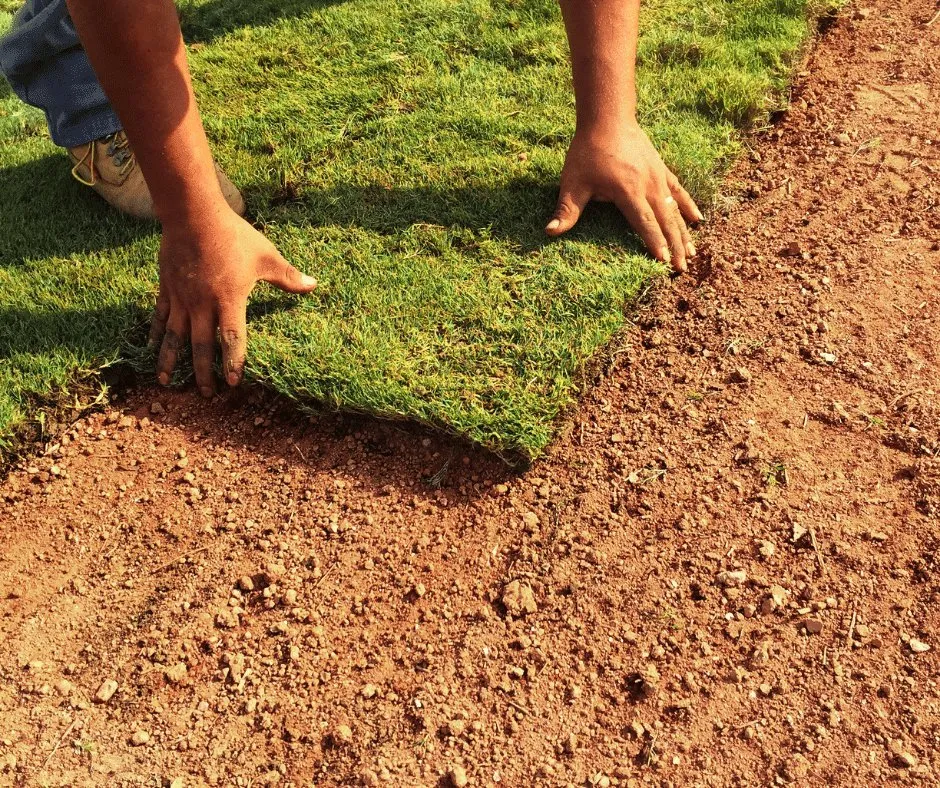 Reliable yard maintenance in Douglasville, GA by Douglasville Sod Installation