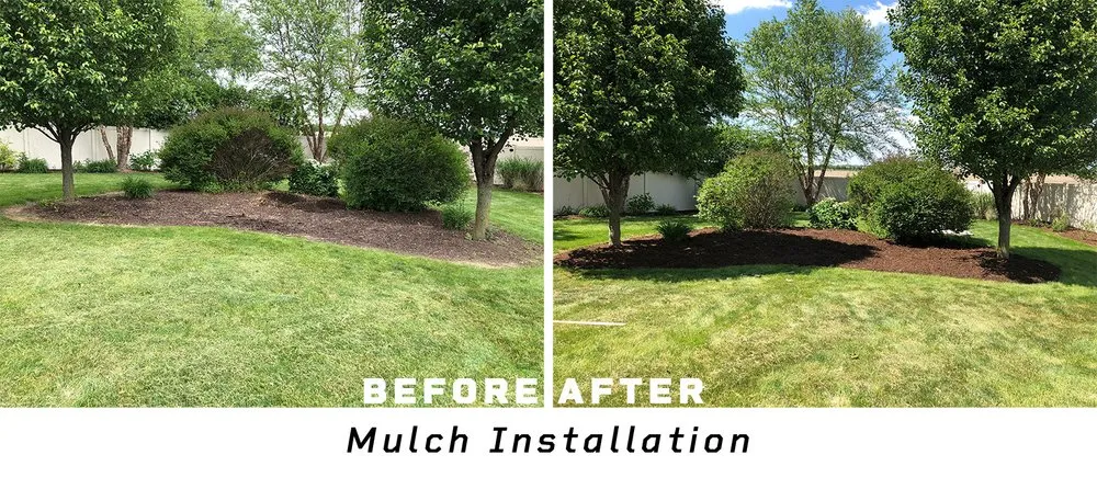Trusted yard cleanup service for year-round maintenance in Thomasboro, IL by Doug'll Do It