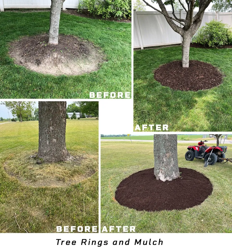 Top-rated landscaping services experts serving Thomasboro, IL - Doug'll Do It