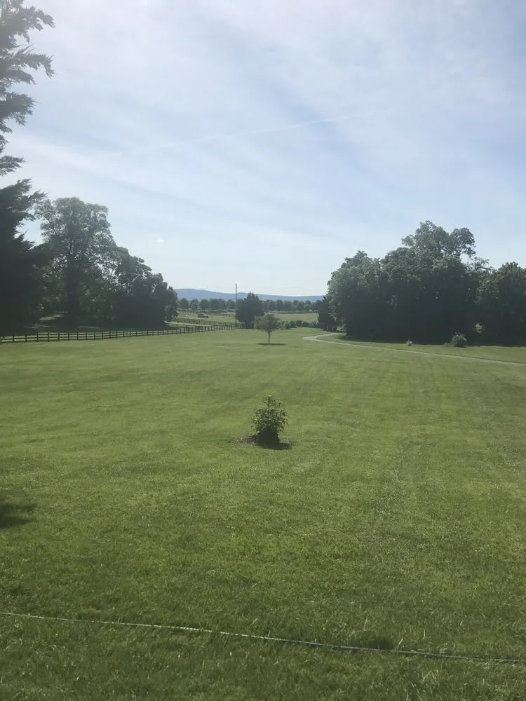 Trusted lawn care service experts serving Front Royal, VA - Doug’s House & Yard Work