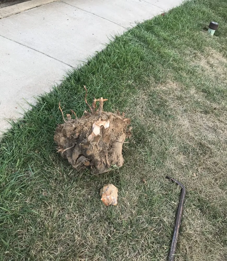 Trusted yard cleanup service experts serving Front Royal, VA - Doug’s House & Yard Work