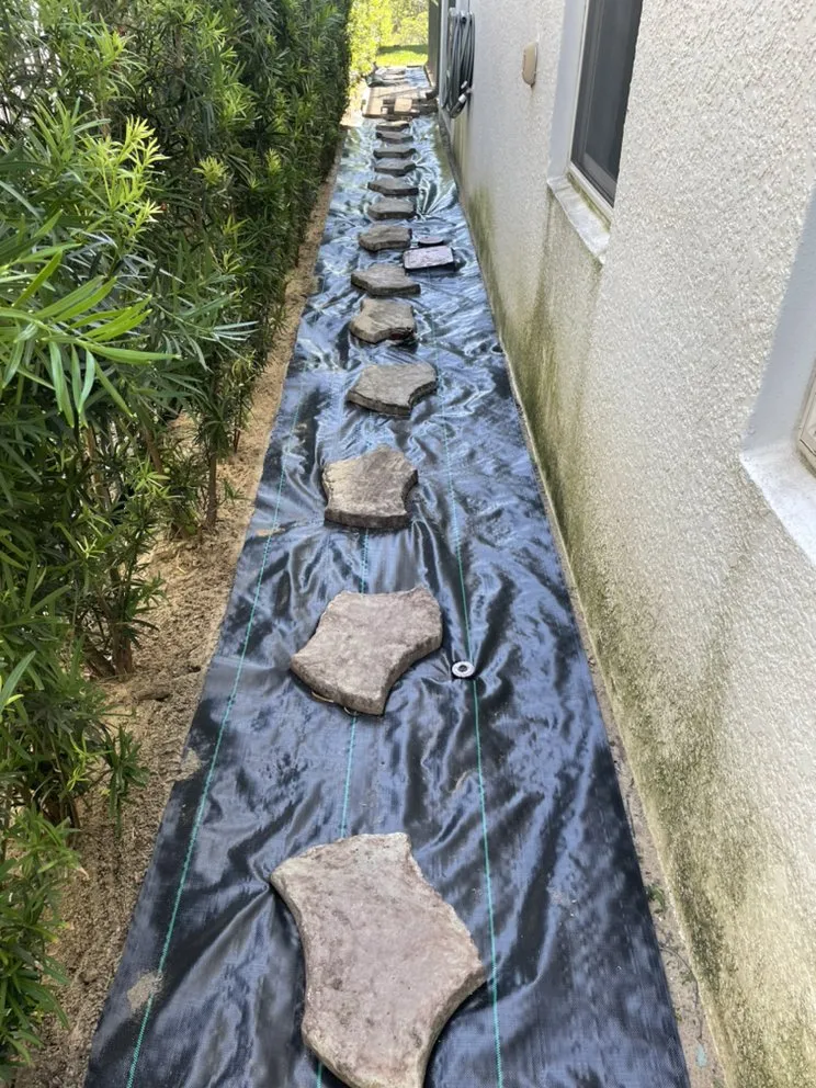 Professional yard cleanup service for year-round maintenance in Windermere, FL by Doug's Landscape