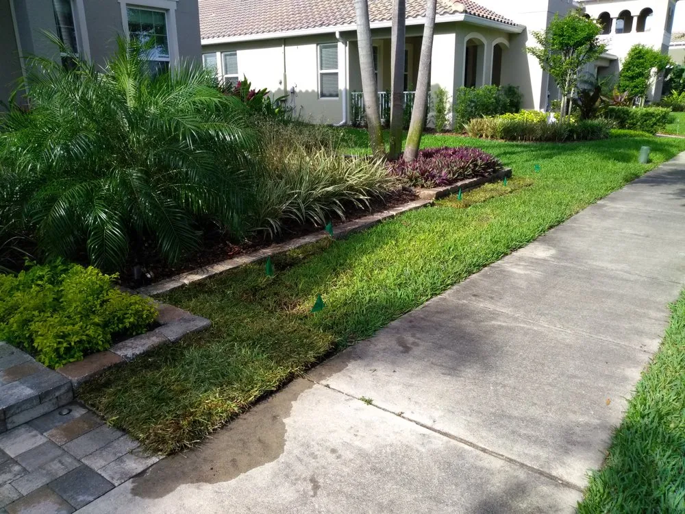 Custom lawn care service for outdoor upgrades across Windermere, FL - Doug's Landscape