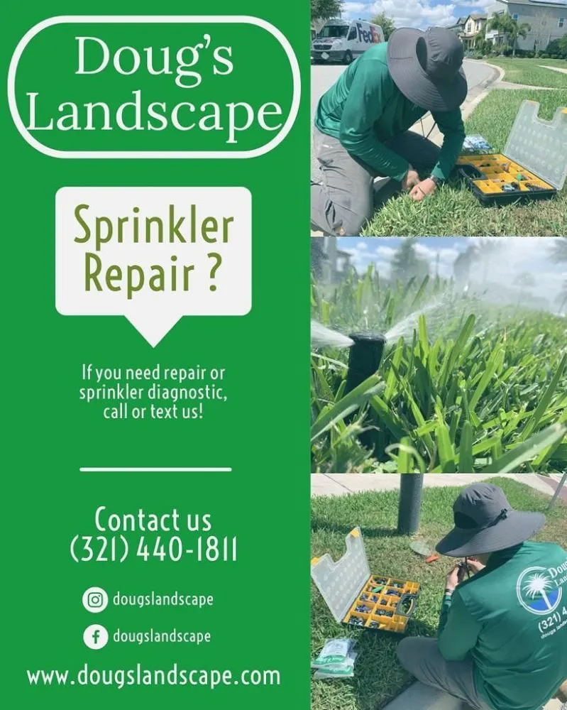 Affordable outdoor landscaping in Windermere, FL - Doug's Landscape