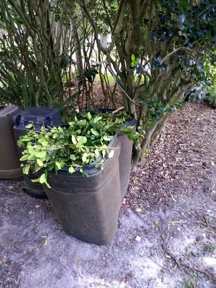 Top-rated garden landscaping for beautiful yards across Windermere, FL - Doug's Landscape