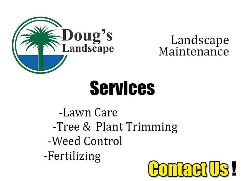 Custom outdoor landscaping for homes in Windermere, FL by Doug's Landscape