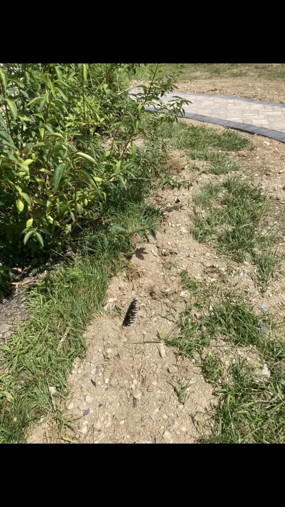 Trusted landscaping services for beautiful yards across Poultney, VT - Dougs Landscaping