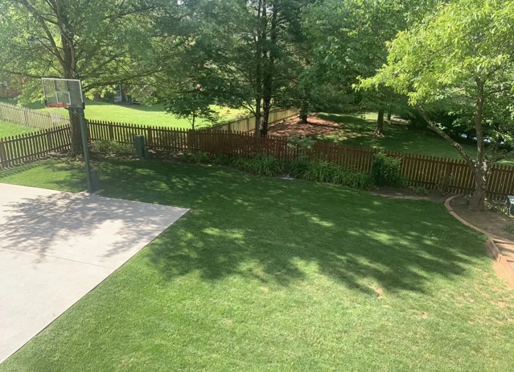 Expert outdoor landscaping experts serving Lexington, KY - Doug's Lawn Solutions