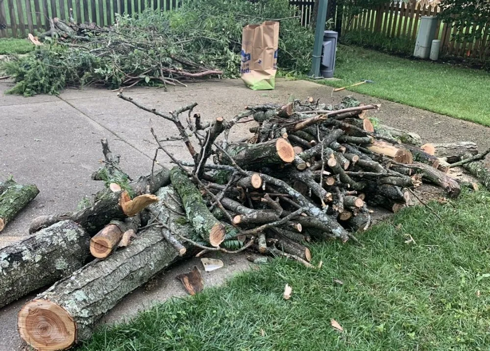 Trusted yard maintenance experts serving Lexington, KY - Doug's Lawn Solutions