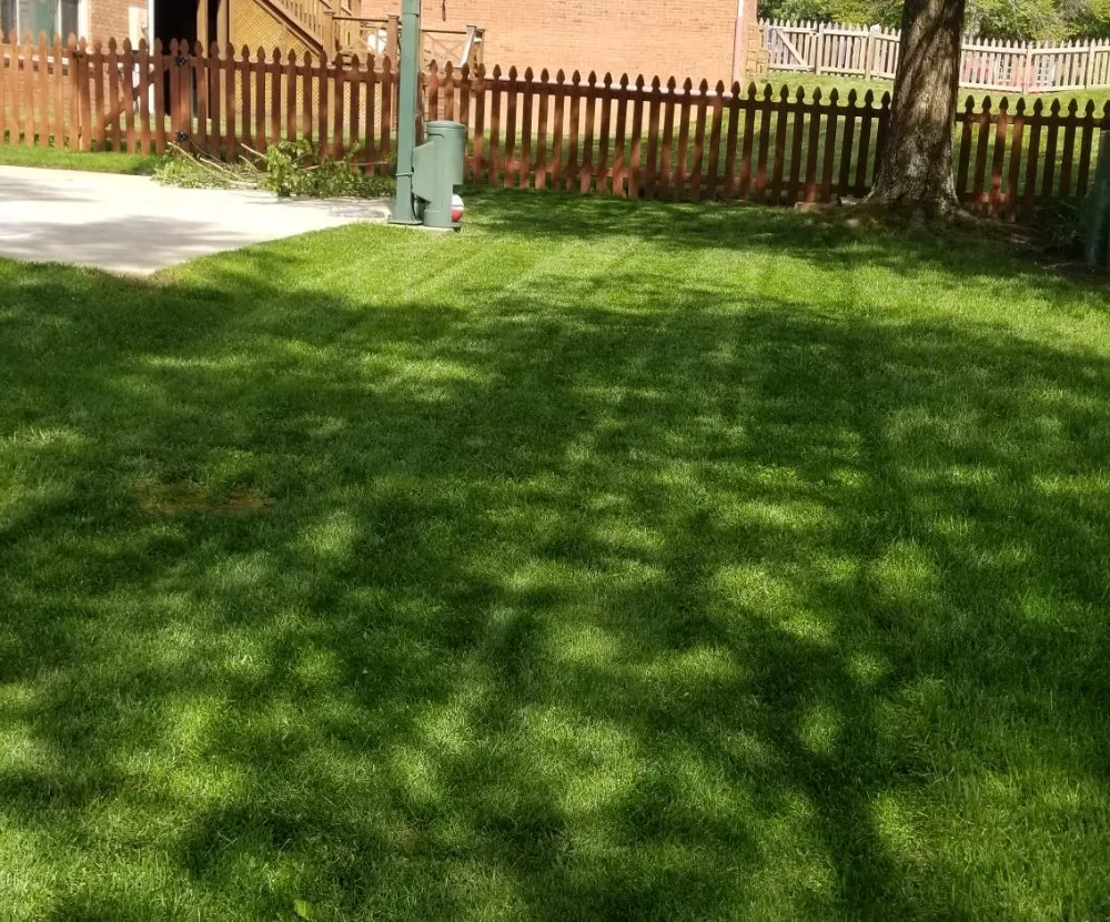 Top-rated landscape design in Lexington, KY - Doug's Lawn Solutions