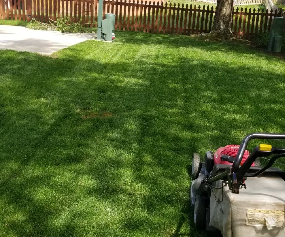 Reliable landscape installation in Lexington, KY - Doug's Lawn Solutions