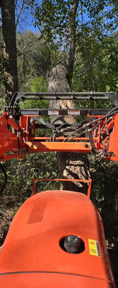 Professional yard cleanup service in Lugoff, SC - Doug's Lawn Tractor & Hauling Services