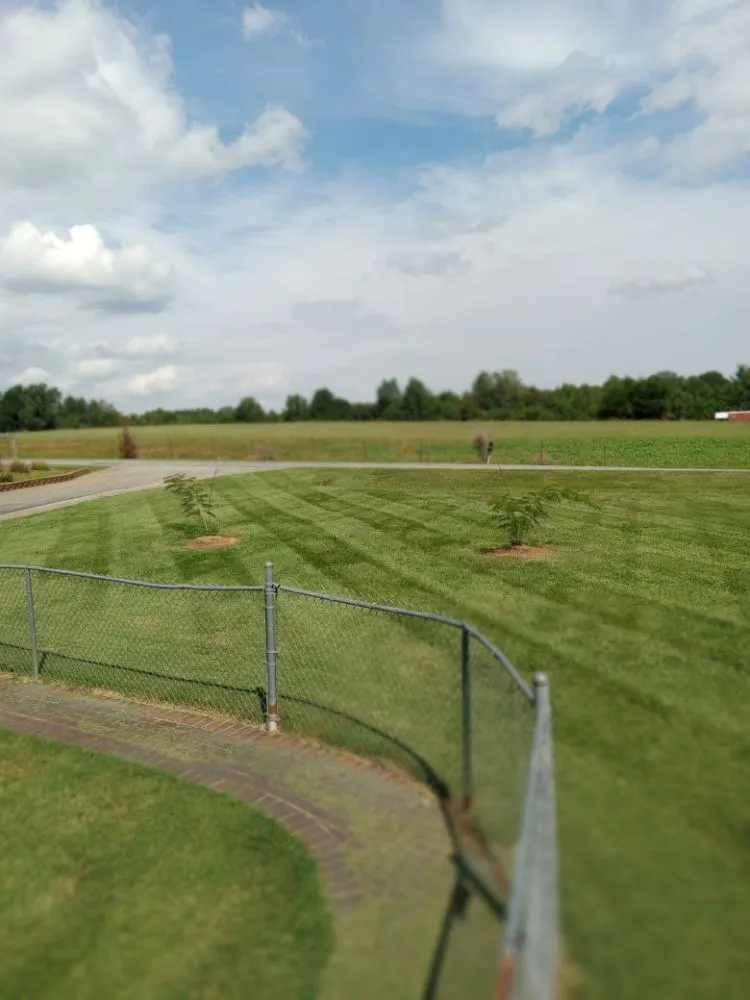 Custom yard maintenance in Gretna, VA by Dougs Lawnz