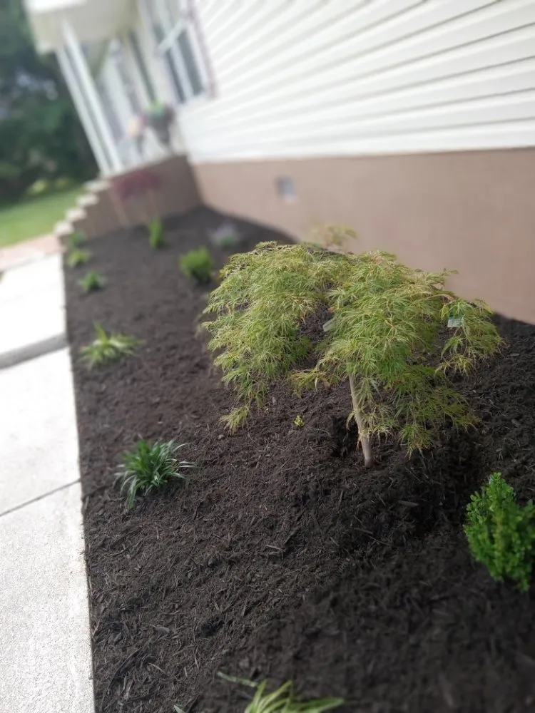 Affordable garden landscaping experts serving Gretna, VA - Dougs Lawnz