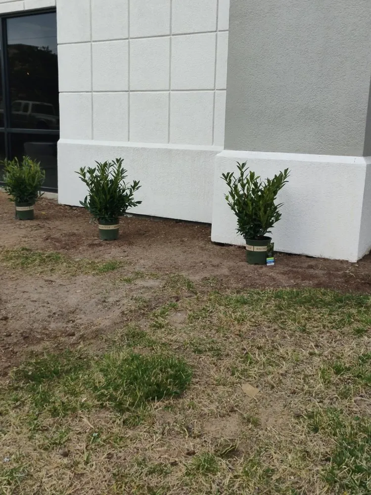 Trusted yard maintenance experts serving Gretna, VA - Dougs Lawnz