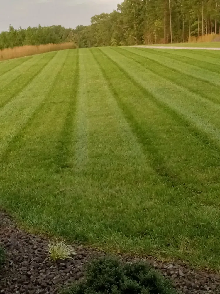 Trusted lawn care service experts serving Gretna, VA - Dougs Lawnz