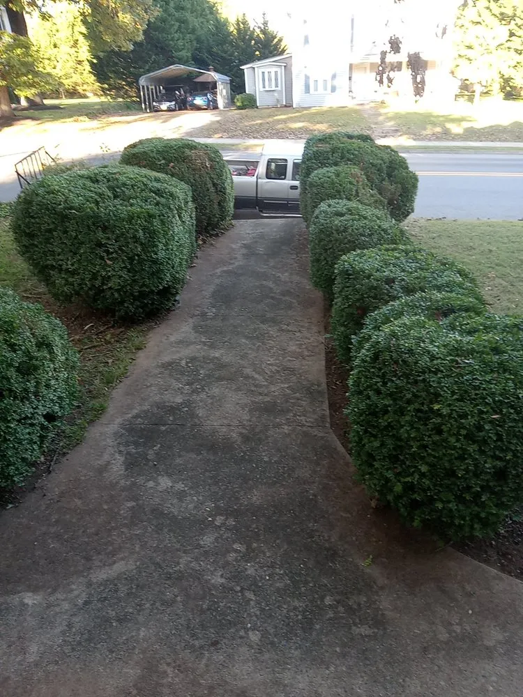 Top-rated landscaping services in Gretna, VA by Dougs Lawnz