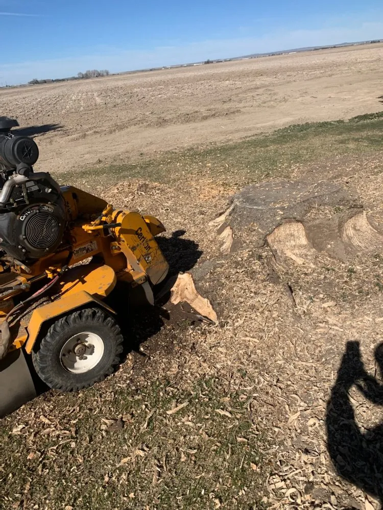 Local outdoor landscaping near you across Pocatello, ID - Doug's Stump Grinding