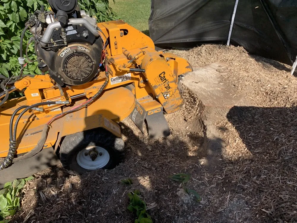 Trusted outdoor landscaping experts serving Pocatello, ID - Doug's Stump Grinding
