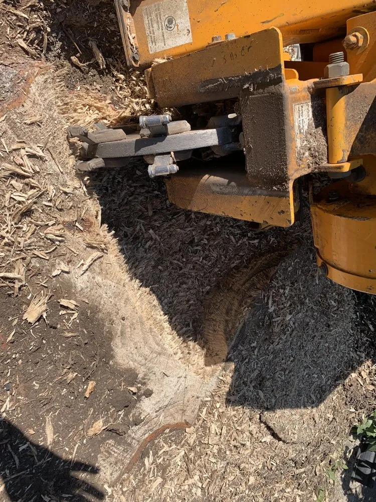 Expert landscape design in Pocatello, ID - Doug's Stump Grinding