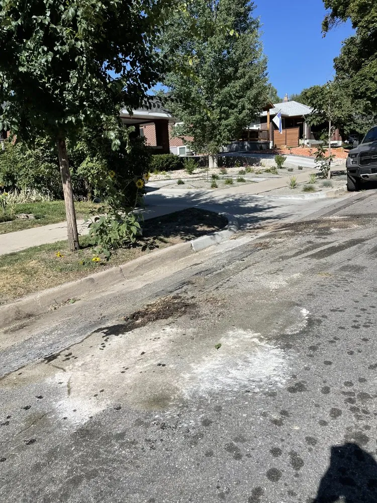 Professional yard cleanup service experts serving Sandy, UT - Doug's Tree Service