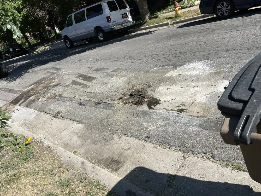 Professional yard maintenance in Sandy, UT - Doug's Tree Service