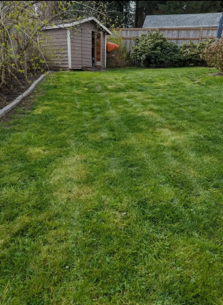 Professional lawn mowing service for homes across Milton, FL - Doug's Yard Service