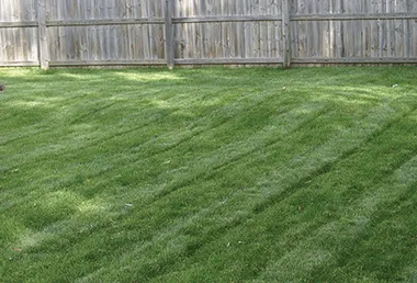 Affordable landscape installation in Milton, FL by Doug's Yard Service