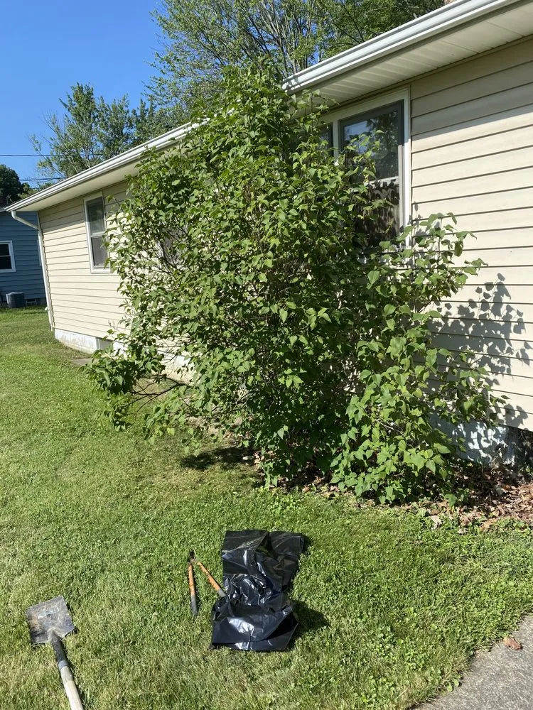 Trusted landscaping services in Amherst, OH by Dous Landscape