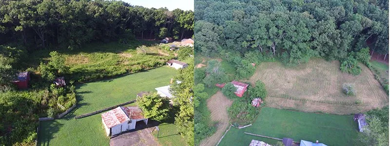Local landscape design for residential properties across Wellington, AL - Douthit Farms