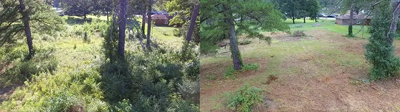 Top-rated outdoor landscaping experts serving Wellington, AL - Douthit Farms