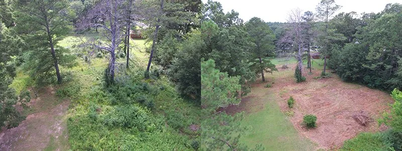 Reliable landscape design for beautiful yards in Wellington, AL by Douthit Farms