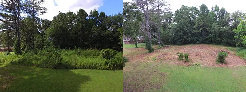 Professional landscape design in Wellington, AL by Douthit Farms