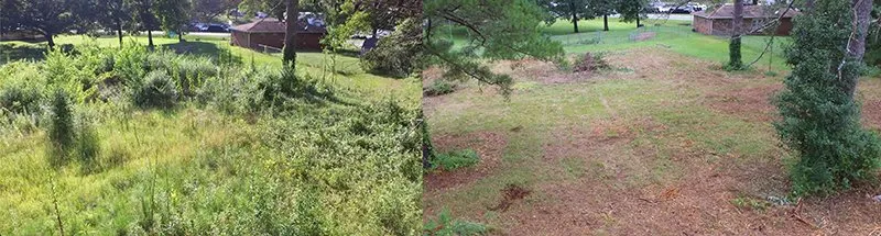 Top-rated lawn care service for homes across Wellington, AL - Douthit Farms
