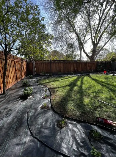 Expert lawn care service experts serving Napa, CA - DOV Landscaping