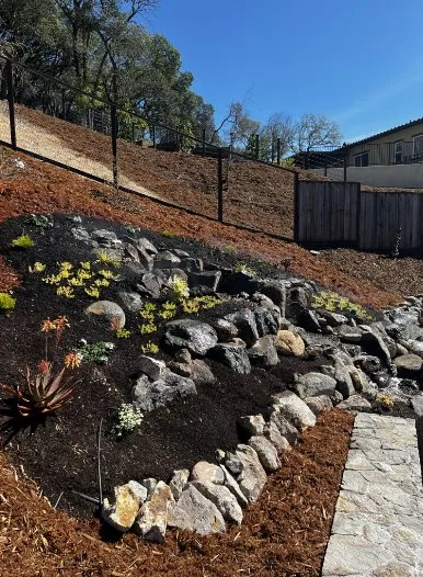 Expert yard maintenance for homes in Napa, CA by DOV Landscaping